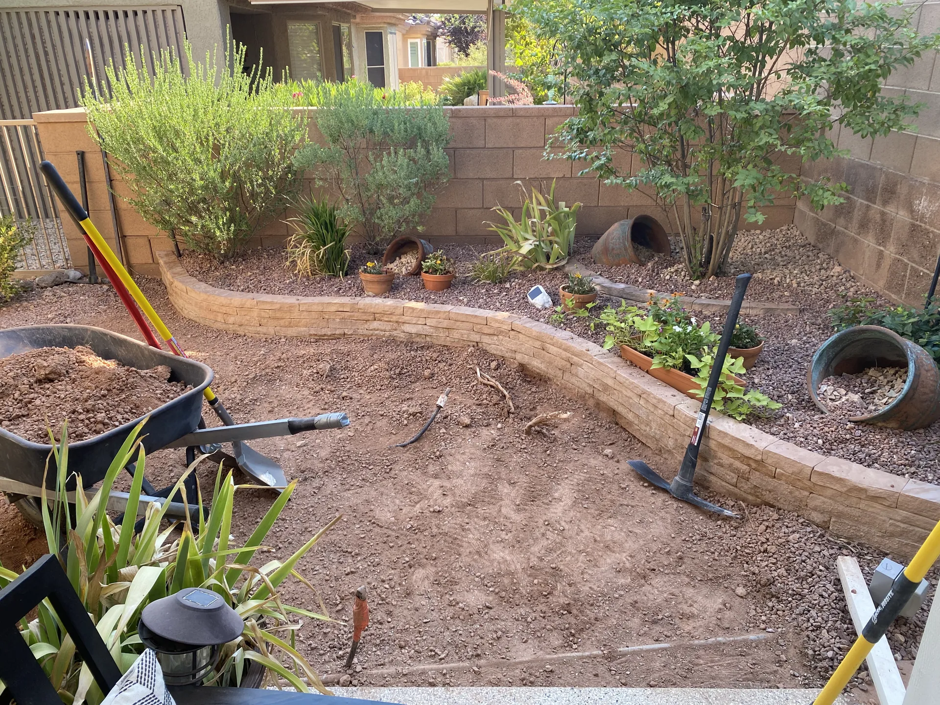 Wide view of the finished turf area with the surrounding desert landscaping preserved
